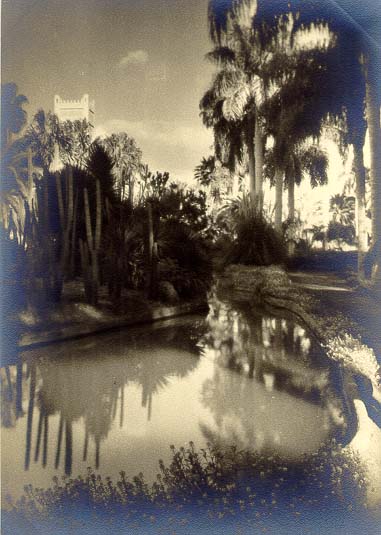 Manial Palace garden